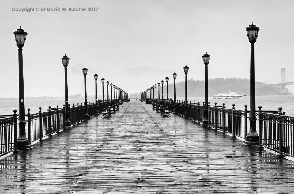 San Francisco in the Rain