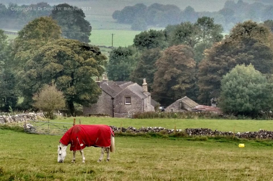 Alternative Limestone Way, Youlgreave to Tideswell