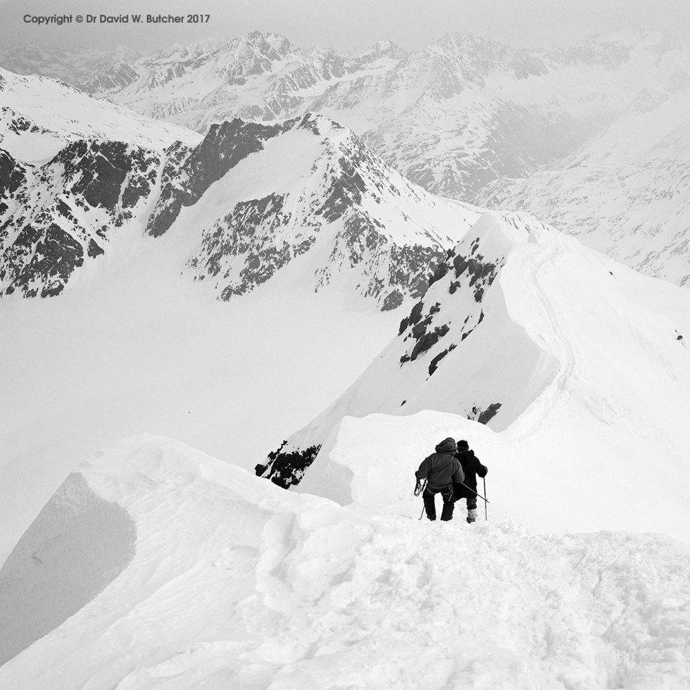 Descending Fineilspitze (3516m) summit ridge, Solden, Otztal Alps, Austria; negative 107101