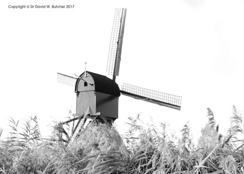 Kinderdijk Post Windmill, Rotterdam, Netherlands