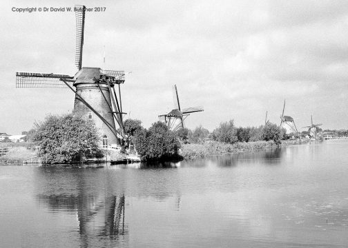 Kinderdijk Windmill Reflections, Rotterdam, Netherlands