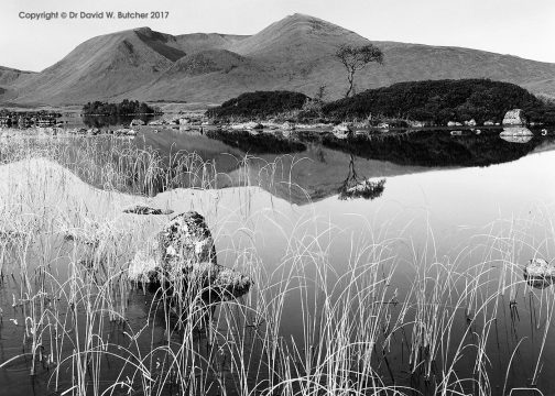 Black Mount Reflections, Rannoch Moor, Scotland