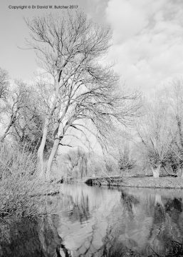 Grantchester Meadows, Cambridge, England