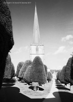Painswick Church and Yew Trees, near Gloucester, Cotswolds, England