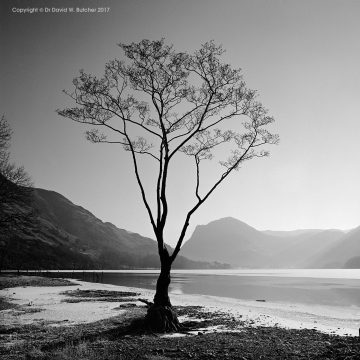 Buttermere and Fleetwith Pike #1, Lake District