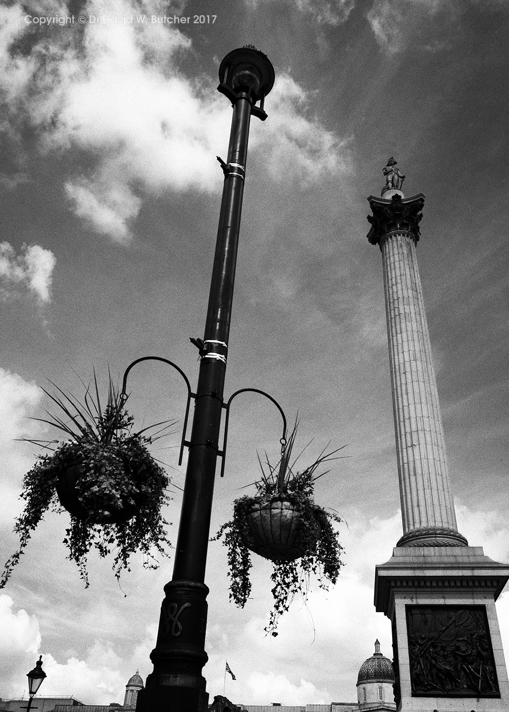 London Trafalgar Square Nelson's Column and Hanging Basket Dave Butcher