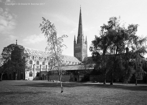 Norwich Cathedral, Norfolk