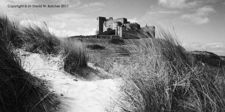 Bamburgh Castle and Sand Dunes, Northumberland