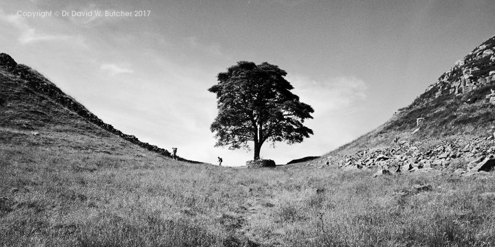 Sycamore Gap, Hadrians Wall, Northumberland