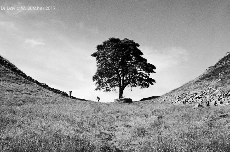 Pennine Way Trek