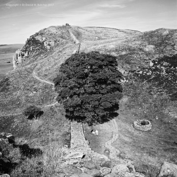 Hadrian's Wall and Sycamore Gap, Northumberland