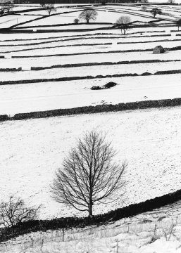 Chelmorton Fields in Winter near Buxton, Peak District