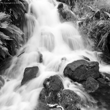 Buxton Goyt Valley Stakeside Falls, Peak District