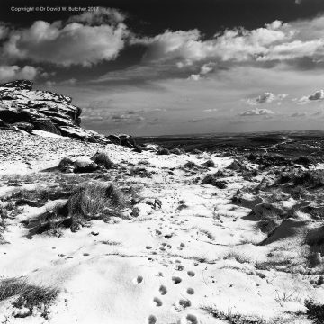 Hare Tracks on Kinderscout, Edale, Peak District