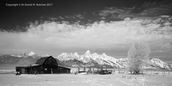 Mormon Row Barn and Grand Tetons in Winter, Jackson, Wyoming, USA