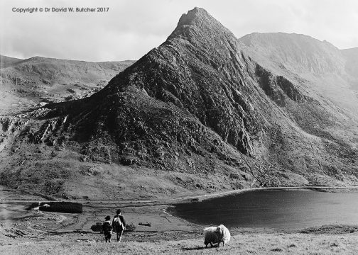 Tryfan from Pen Yr Ole Wen, Bethesda, Snowdonia, Wales