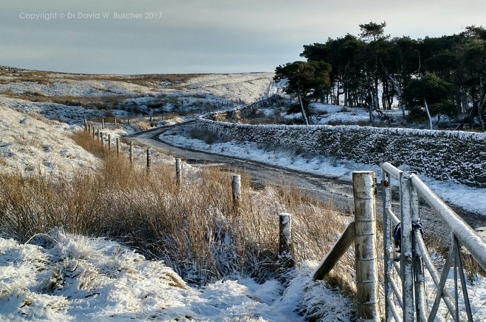 Peak District at Christmas