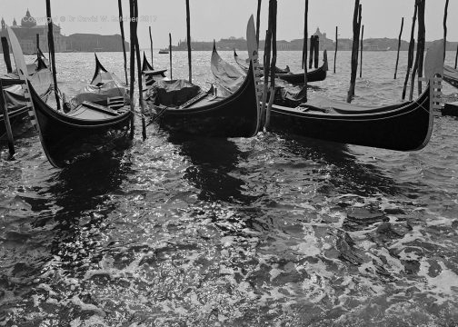 Venice Gondolas