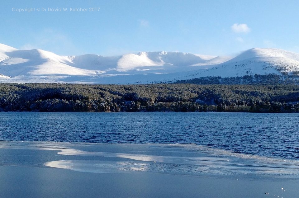 Sunny Cairngorms Photographs