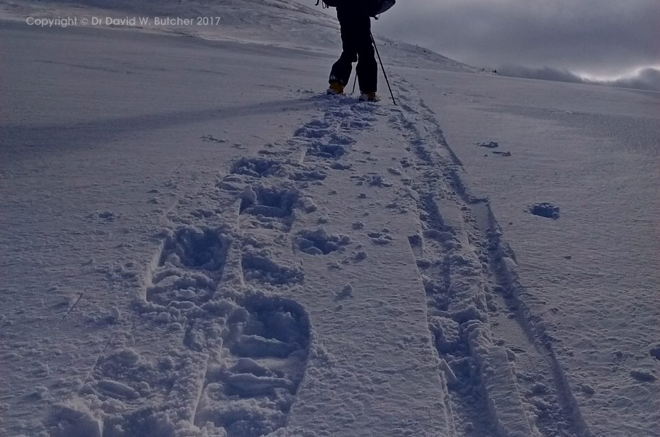 Windy Day in the Cairngorms