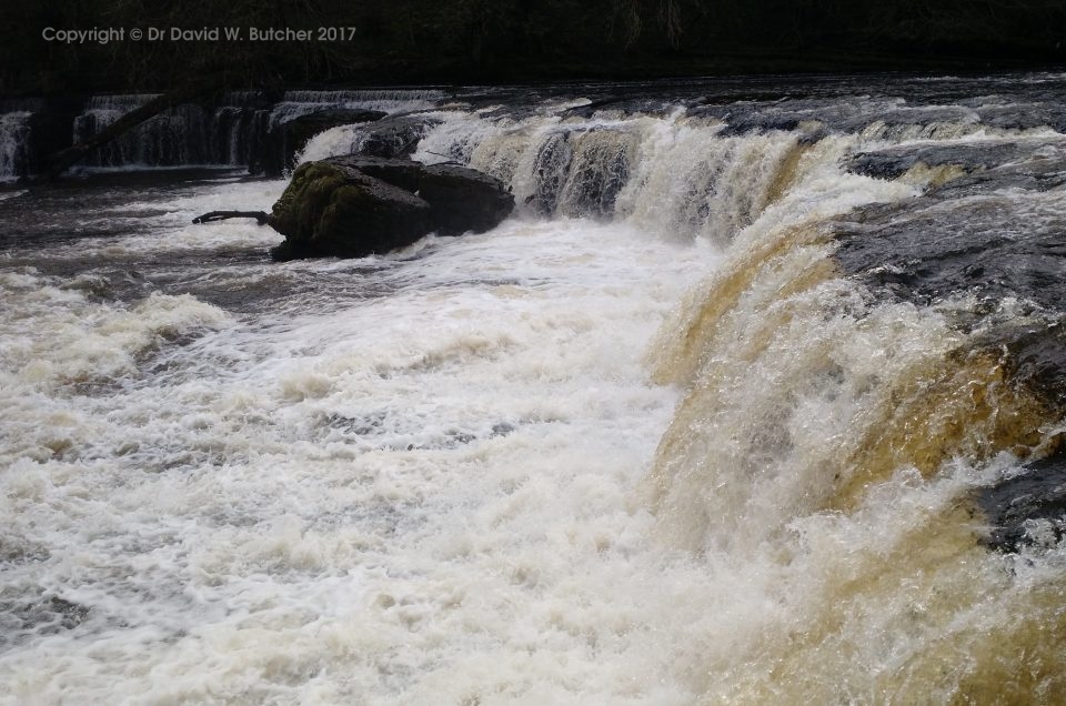 Aysgarth Falls, Yorkshire 2018