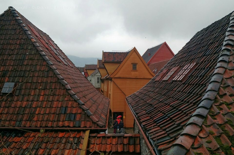 Norway Photo Trip, Bergen in the Rain