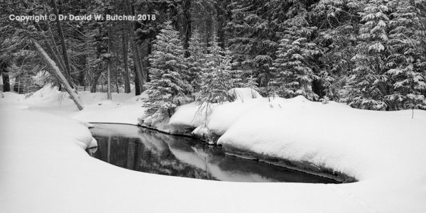 Winter Park Fraser River Trail Reflections, Colorado, USA