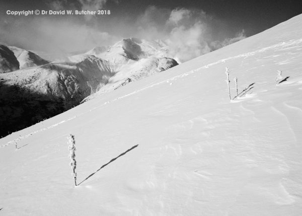 Les Deux Alpes Thistle View, France