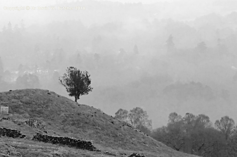 Damp Hazy Day in the Lake District