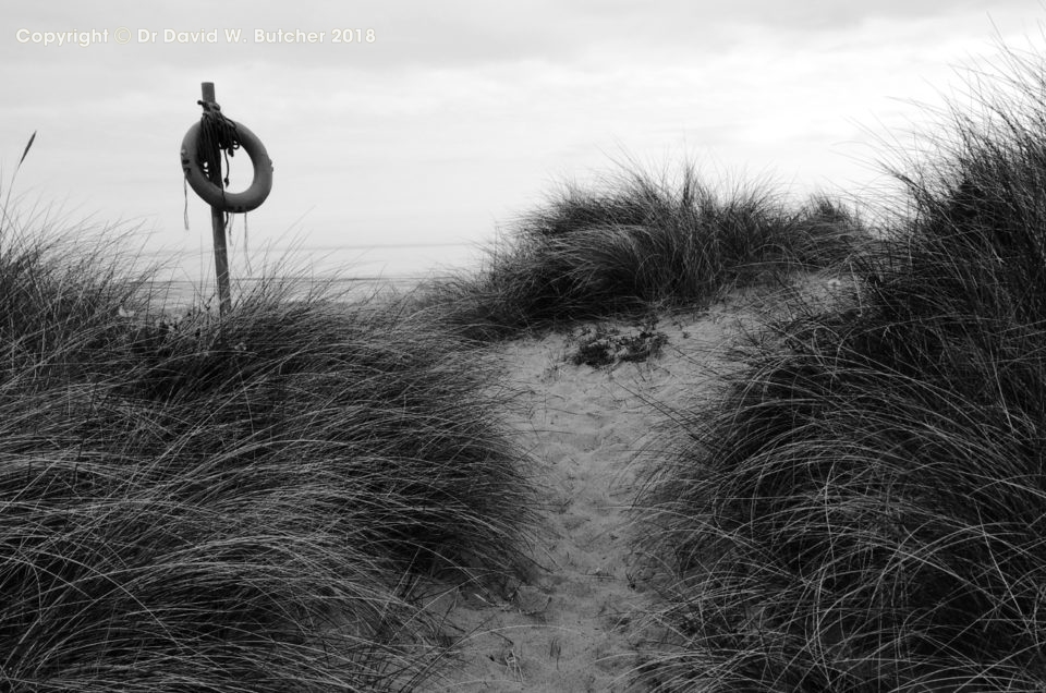 Northumberland Coast Photos Day 2