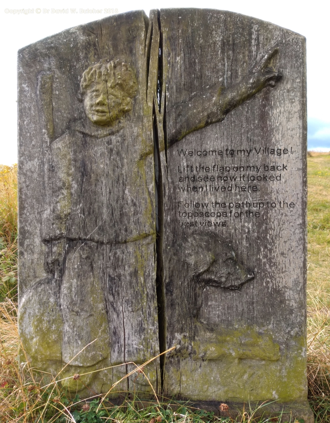 Bury Ditches Iron Age Hill Fort tree carving 2, Shropshire near Clun