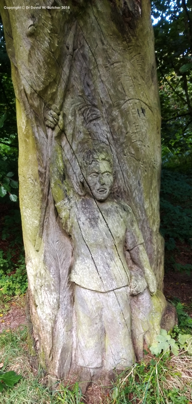 Bury Ditches Iron Age Hill Fort tree carving, Shropshire near Clun