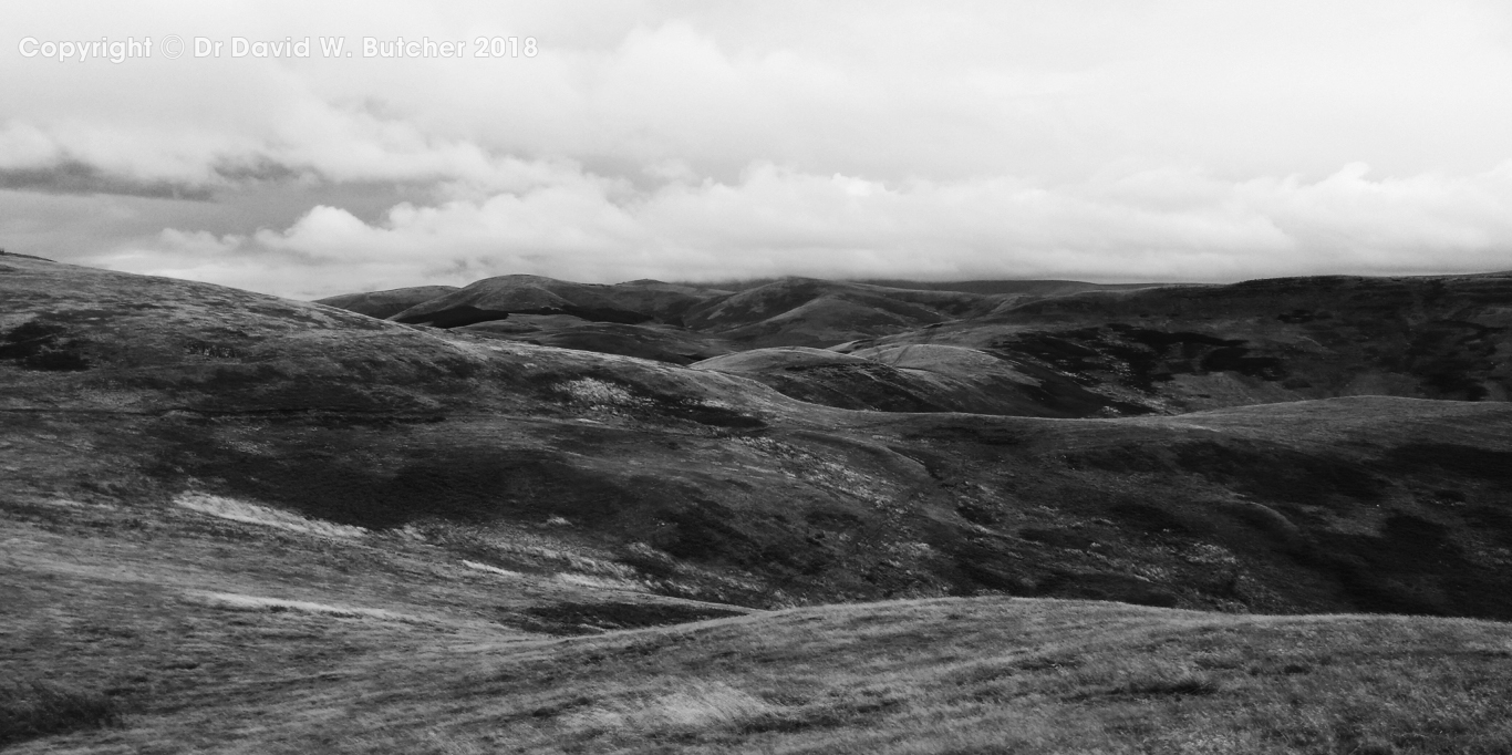 Wideopen Hill between Kirk Yetholm and Morebattle