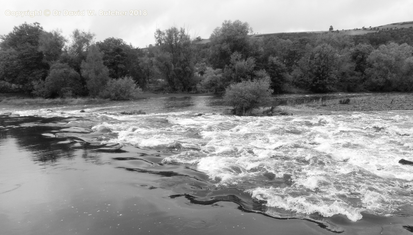 River Tweed rapids near Melrose