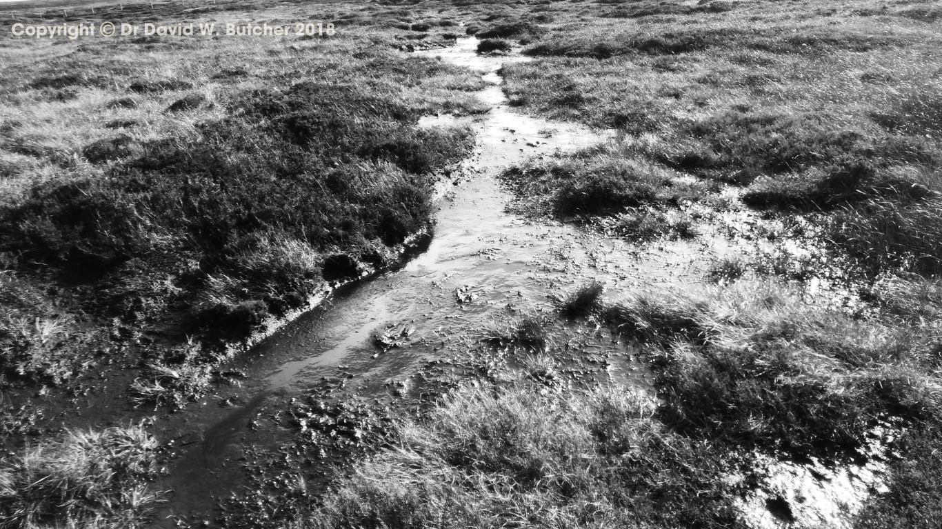 Bull Clough to Margery Hill