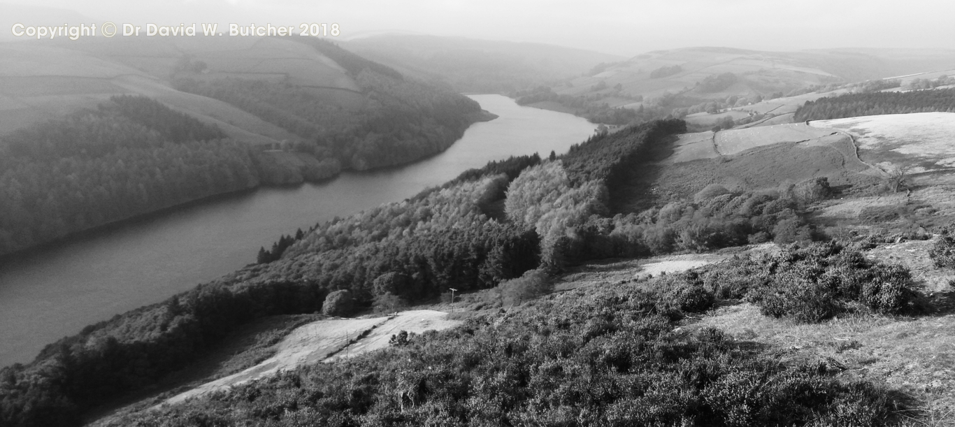 Derwent Reservoir from Salt Cellar