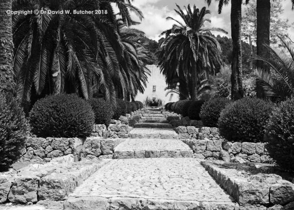 Palm Walk in Alfabia Gardens near Soller, Mallorca, Spain