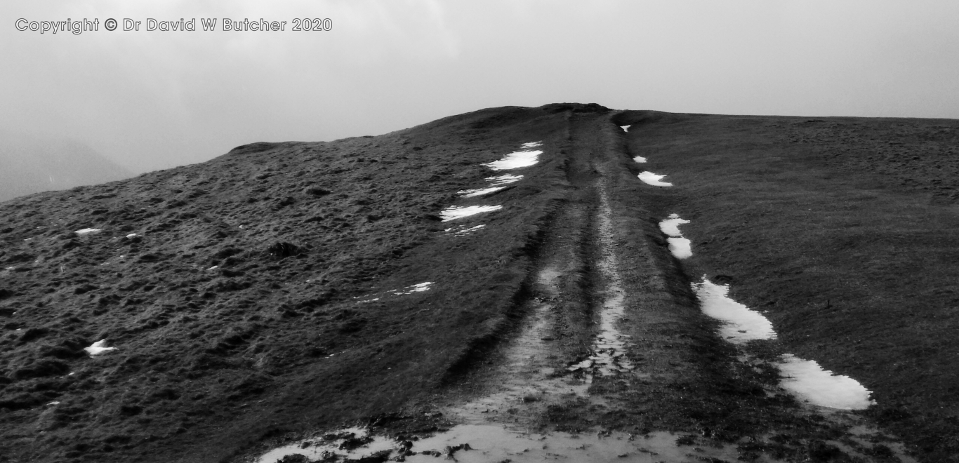 Latrigg Summit track near Keswick