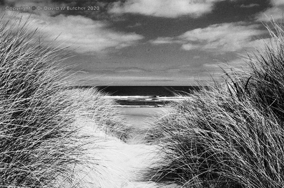 Northumberland Coast Path Trek