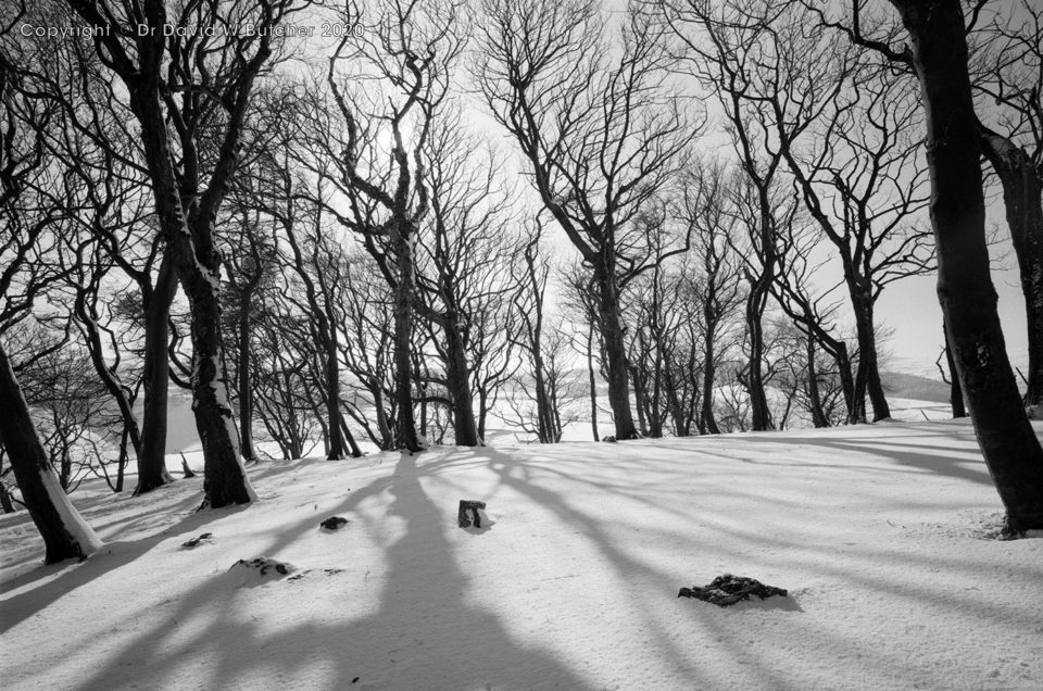 New Peak District Images on DaveButcher.co.uk