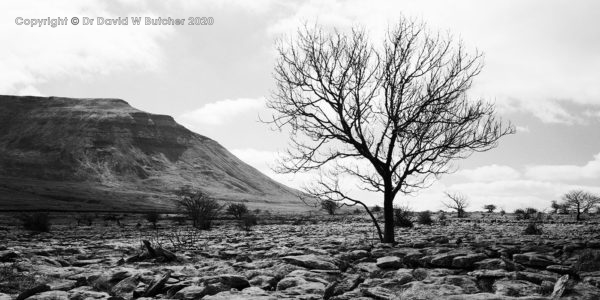 Ingleborough and Limestone Pavement, Yorkshire