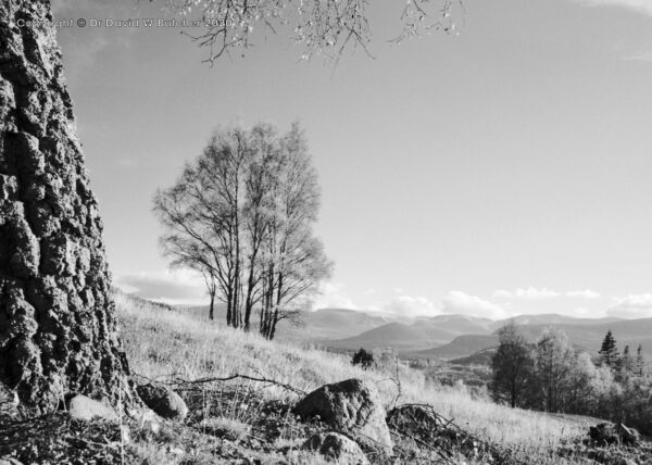 Cairngorms from Lynwilg, Aviemore, Scotland