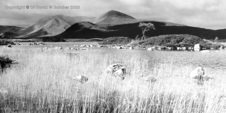Black Mount, Lochan and Grasses, Rannoch Moor, Scotland