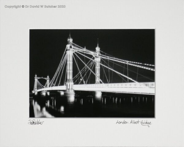 London Albert Bridge at Night by Dave Butcher