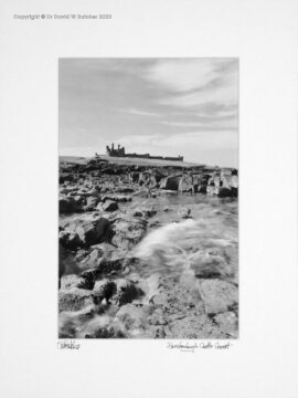 England, Northumberland Dunstanburgh Castle near Craster by Dave Butcher