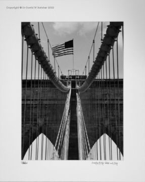 New York Brooklyn Bridge Cables