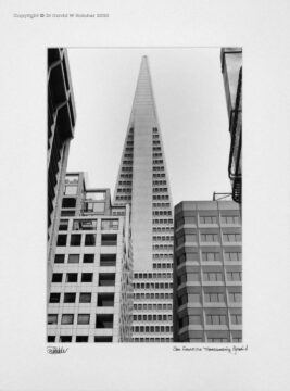 USA, San Francisco Transamerica Pyramid