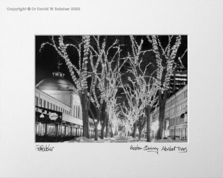 USA, Boston Quincy Market Trees at Night