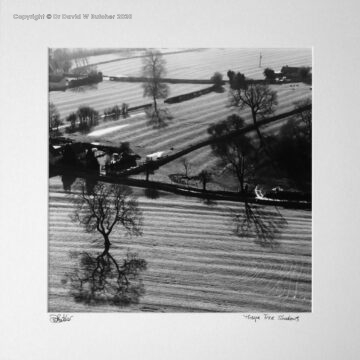Thorpe Tree shadows and field furrows from Thorpe Cloud, Dovedale near Illam
