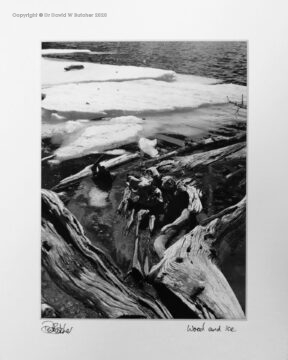 Wood and ice on a small lake in Rocky Mountain National Park near Boulder and Denver, Colorado, USA.